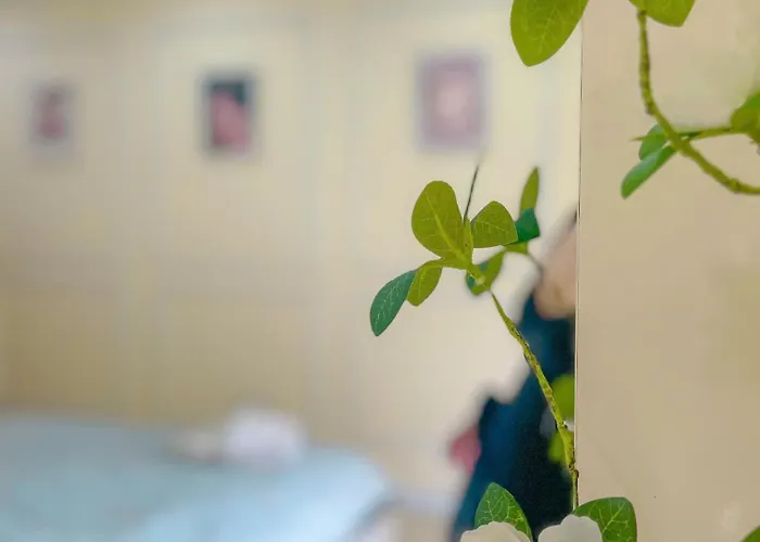 Chung Cư Newlife Căn hộ *